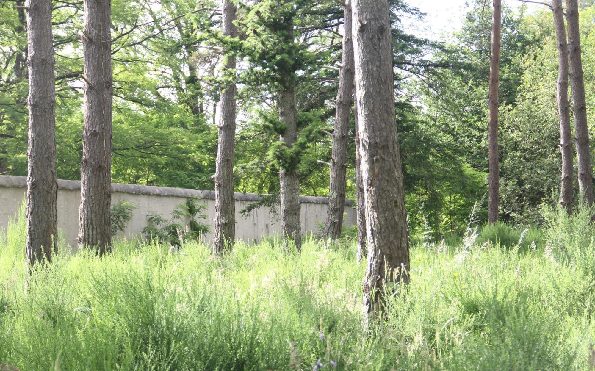 Le Refuge De Chambord Villa Thoury Kültér fotó
